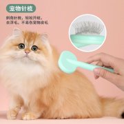 宠物美容套装猫梳子